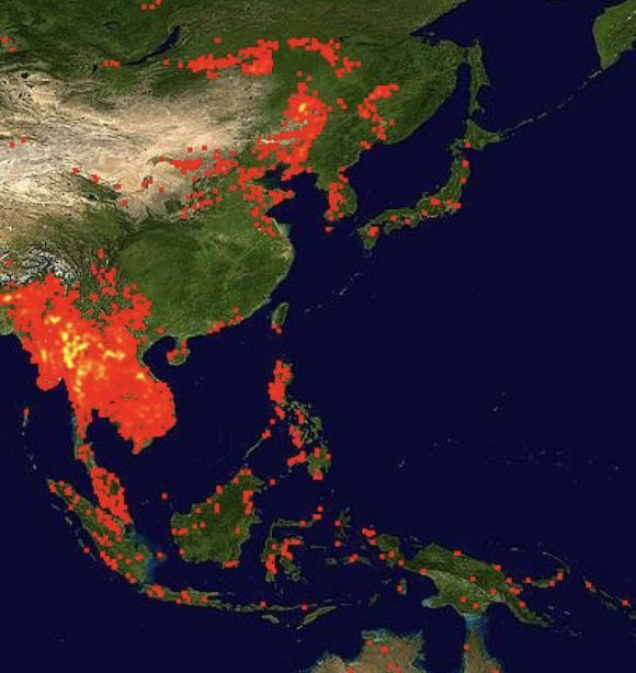 map of Asia showing wildfire activity